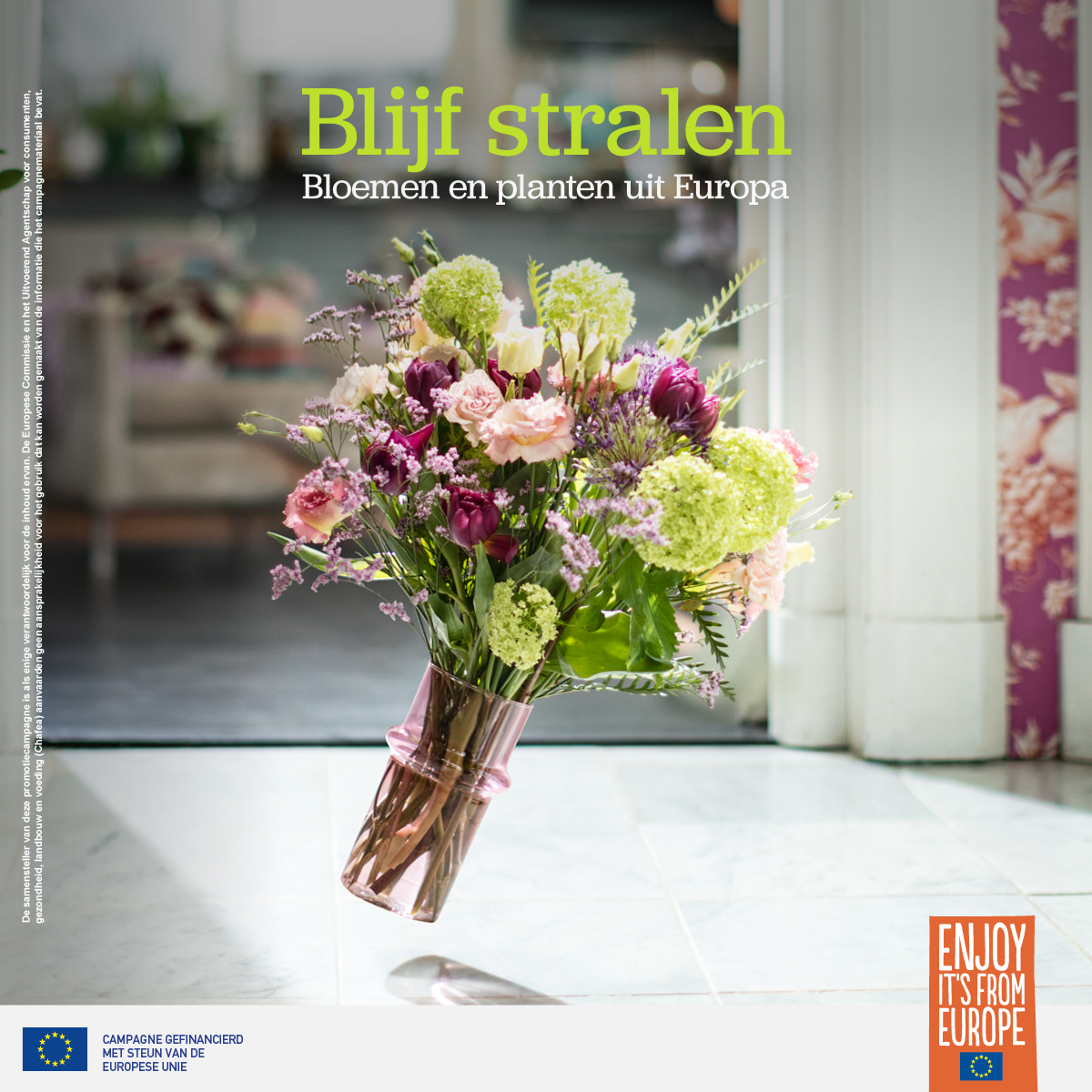 New promotional campaign for European flowers and plants-2