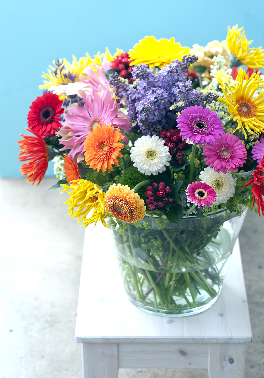 Gerbera in the April Flower Agenda  Flower Council