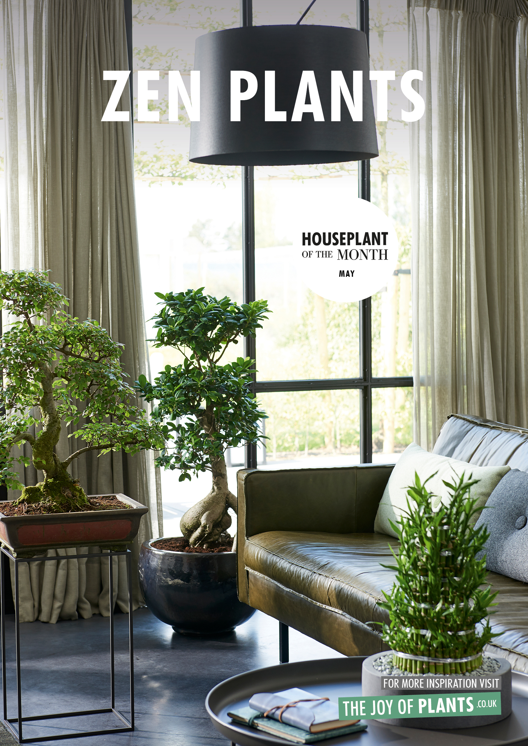May 2018 Zen Plants Houseplants Of The Month Flower Council