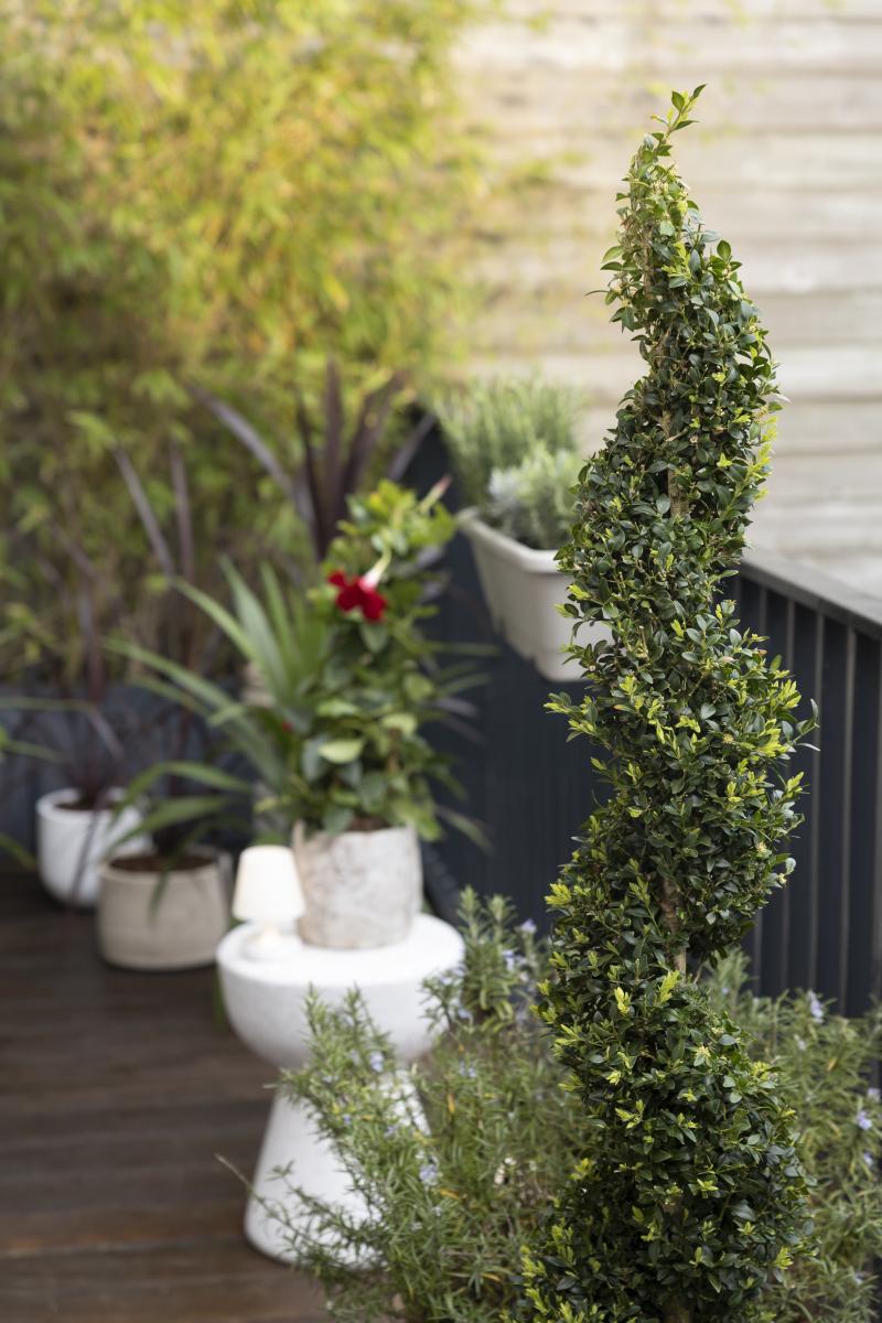 van grauw naar groen - balkon shoot