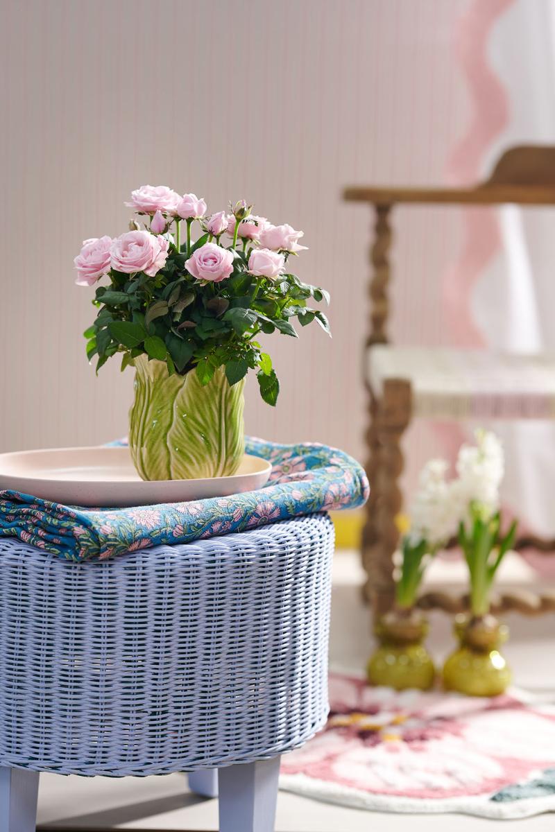 Flower Council of Holland Horticulture Trends 2026 Nostalgic Lens