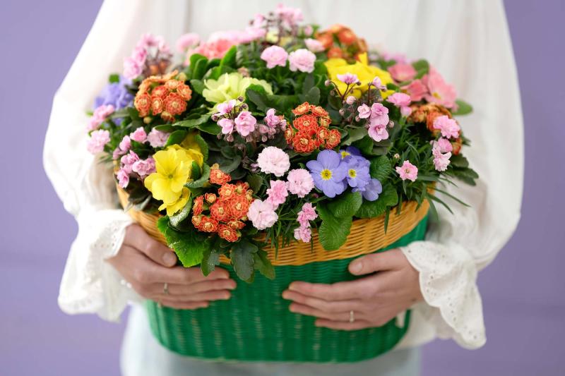 Flower Council of Holland Horticulture Trends 2026 Nostalgic Lens