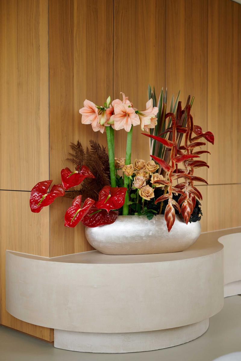 Flower Council of Holland Horticulture Trends 2026 Orbit Revive