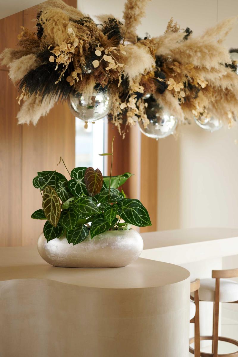 Flower Council of Holland Horticulture Trends 2026 Orbit Revive