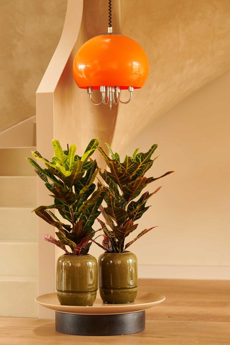 Flower Council of Holland Horticulture Trends 2026 Orbit Revive