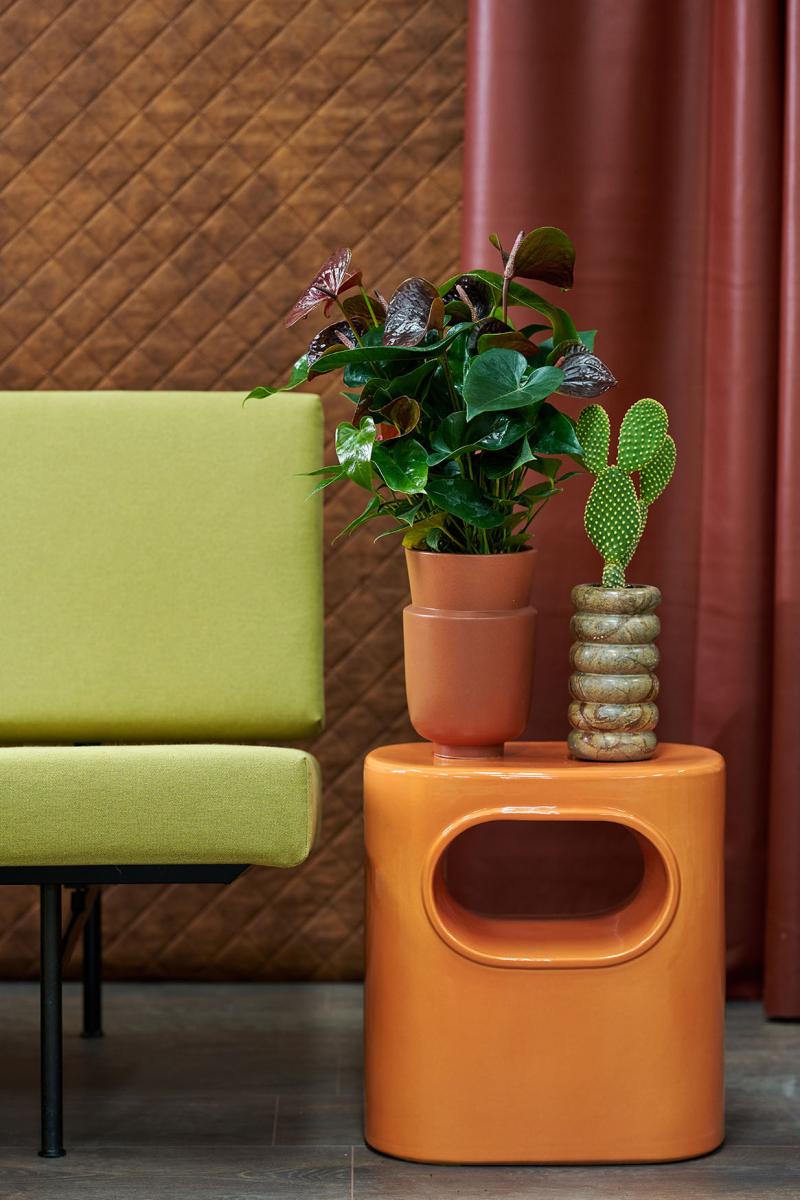 Flower Council of Holland Horticulture Trends 2026 Orbit Revive