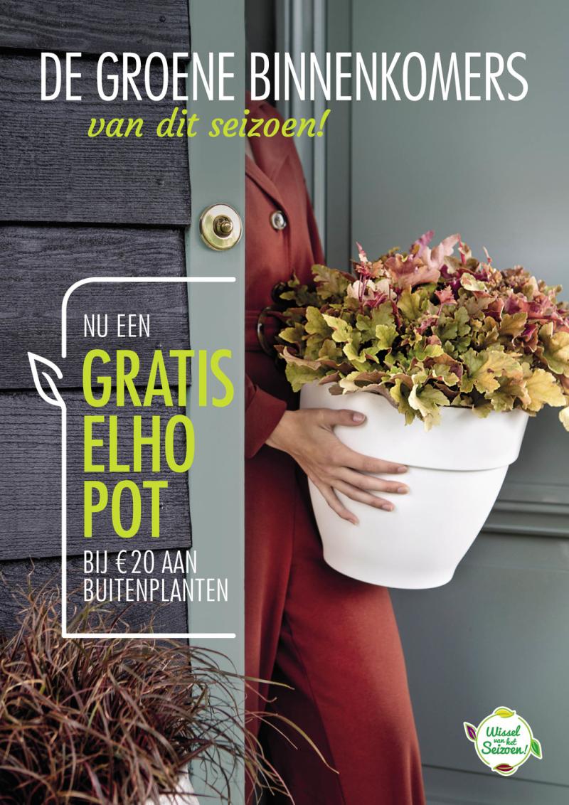 Dutch outdoor plants shopper activation Dutch outdoor plants shopper activation