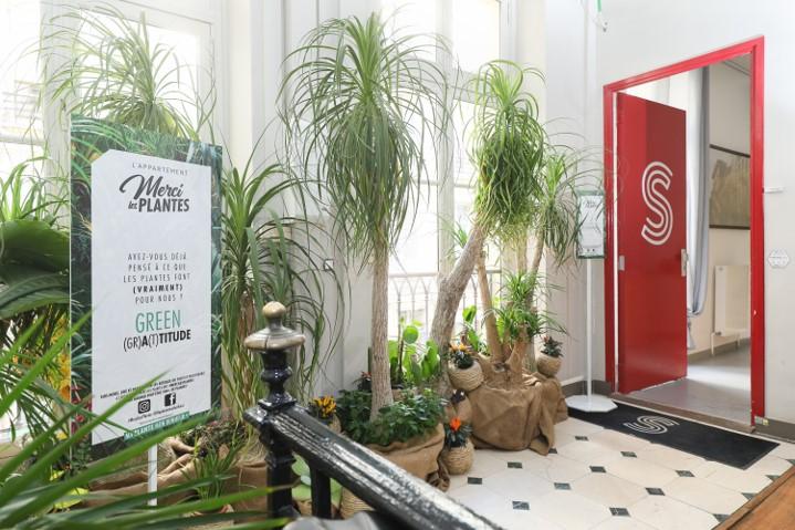 L’appartement Merci les Plantes in France L’appartement Merci les Plantes in France