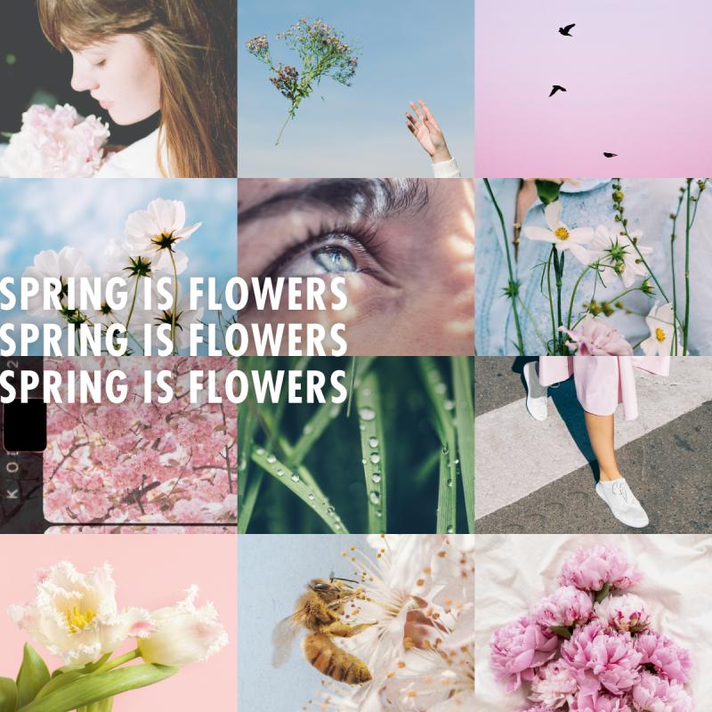 Spring is Flowers on Funnyhowflowersdothat.co.uk
