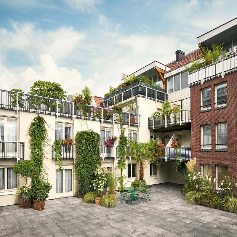 New outdoor plant campaign: From Grey to Green New outdoor plants campaign: From Grey to Green