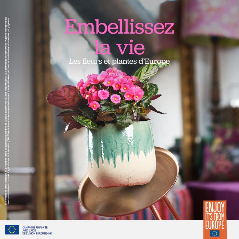 New promotional campaign for European flowers and plants-2