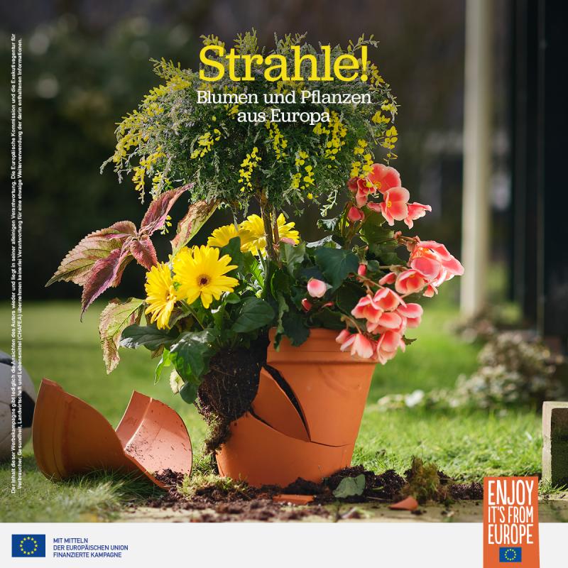 New promotional campaign for European flowers and plants-2 New promotional campaign for European flowers and plants-2