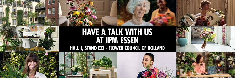 Have a talk with the Flower Council of Holland 