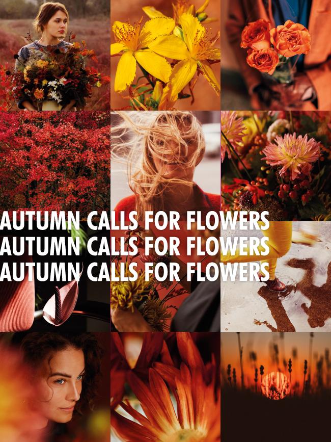 Autumn calls for flowers
