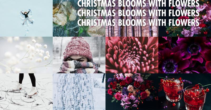 Christmas Blooms with Flowers