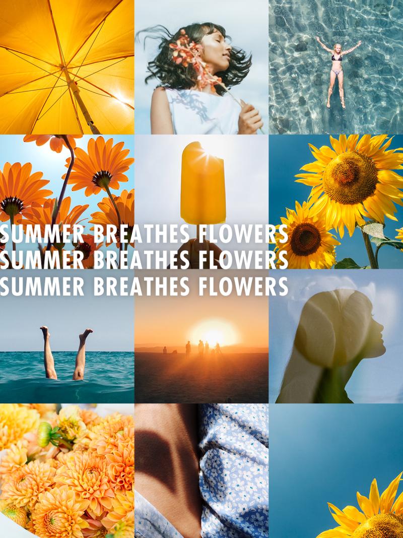 Summer Breathes Flowers on Funnyhowflowersdothat.co.uk