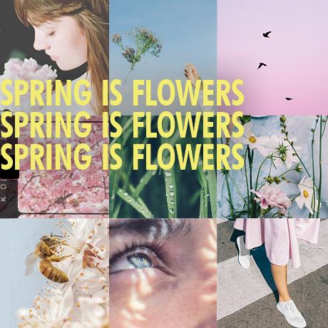 Spring is Flowers