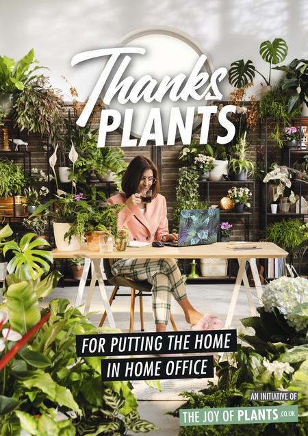 Thanks Plants campaign evaluation Thanks Plants: Working (from home)