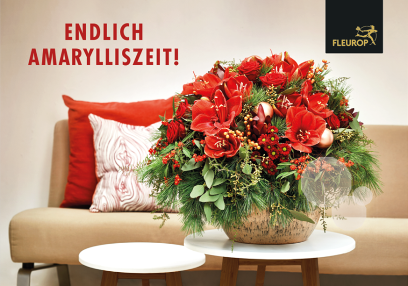 Fleurop DE 2021 amaryllis