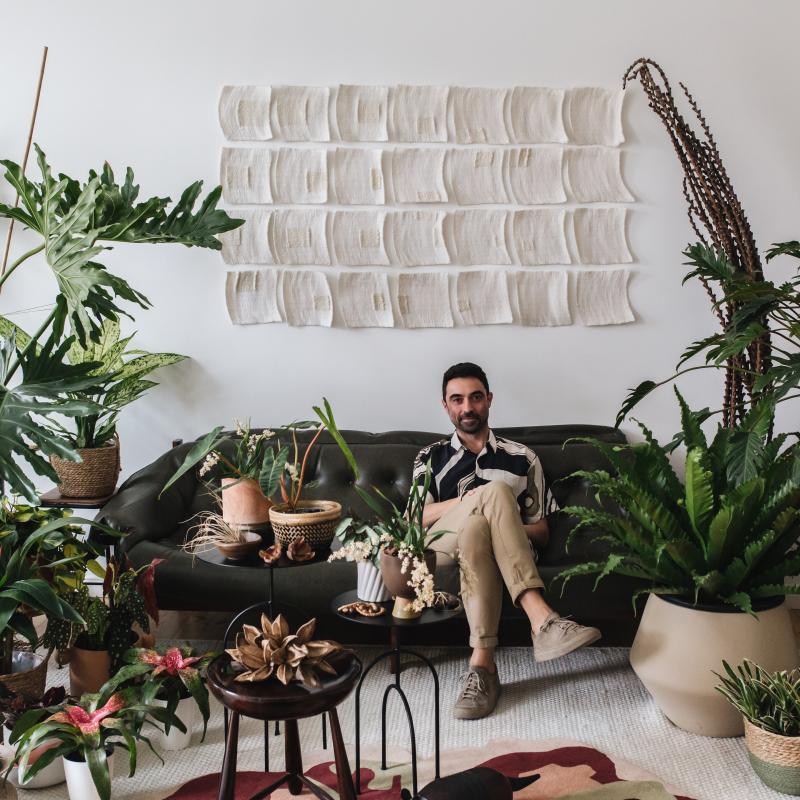 Houseplant Travel Houseplant Travel