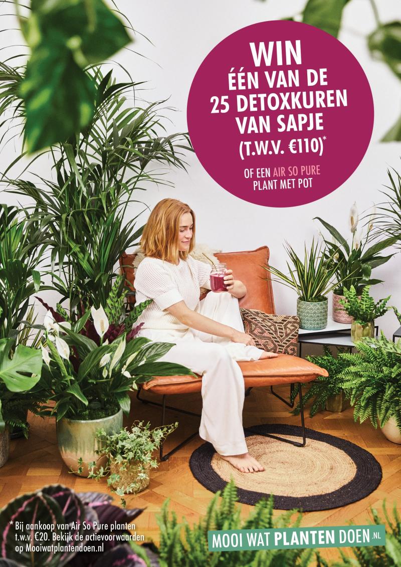 Thanks plants Dutch shopper activation