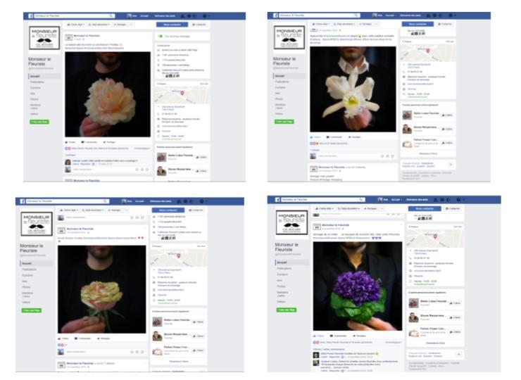 Monsieur le fleuriste Monsieur le fleuriste