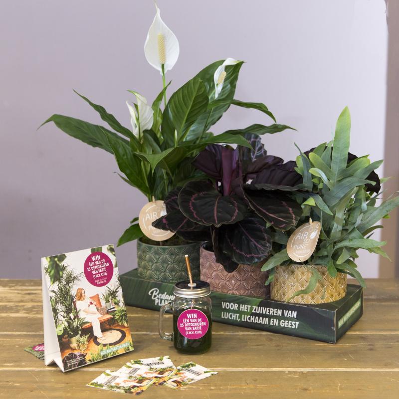 Shopper activatie Bloemist NL 2019 Shopper activatie Bloemist NL 2019