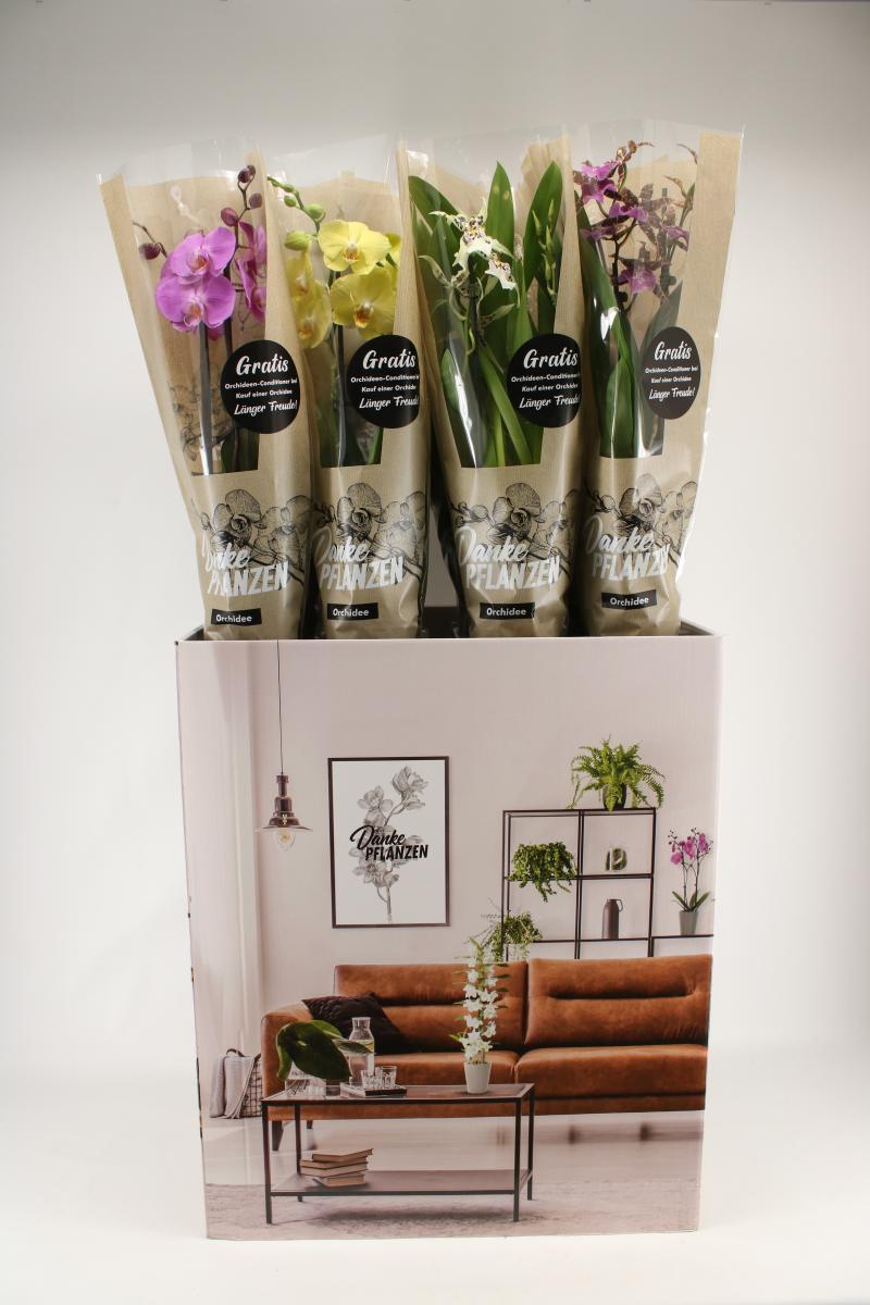Shopper activatie Rewe 2019 Shopper activatie Rewe 2019