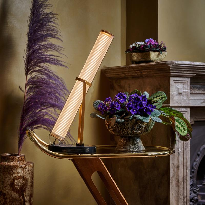 Saintpaulia - De Trend Collectie herfst/winter 2022 Saintpaulia - De Trend Collectie herfst/winter 2022