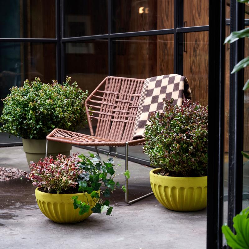 Leucothoe - De Trend Collectie herfst/winter 2022 Leucothoe - De Trend Collectie herfst/winter 2022