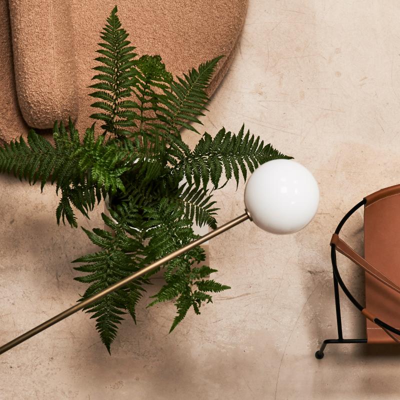 De Trend Collectie Herfst/Winter 2020 Lookbook
