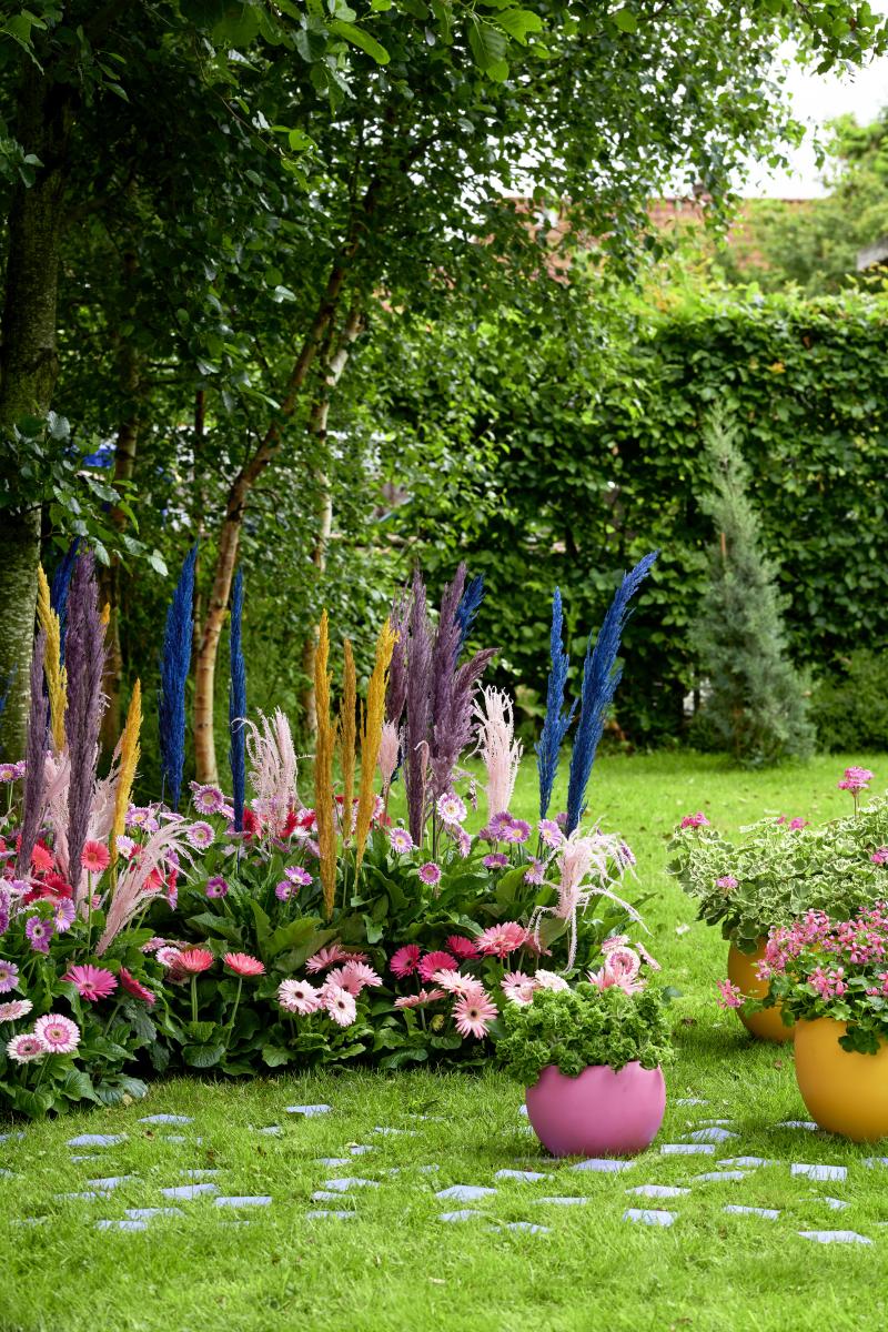 De buitenplanten uit De Trend Collectie lente/zomer 2021 Gerbera De buitenplanten uit De Trend Collectie lente/zomer 2021 Gerbera