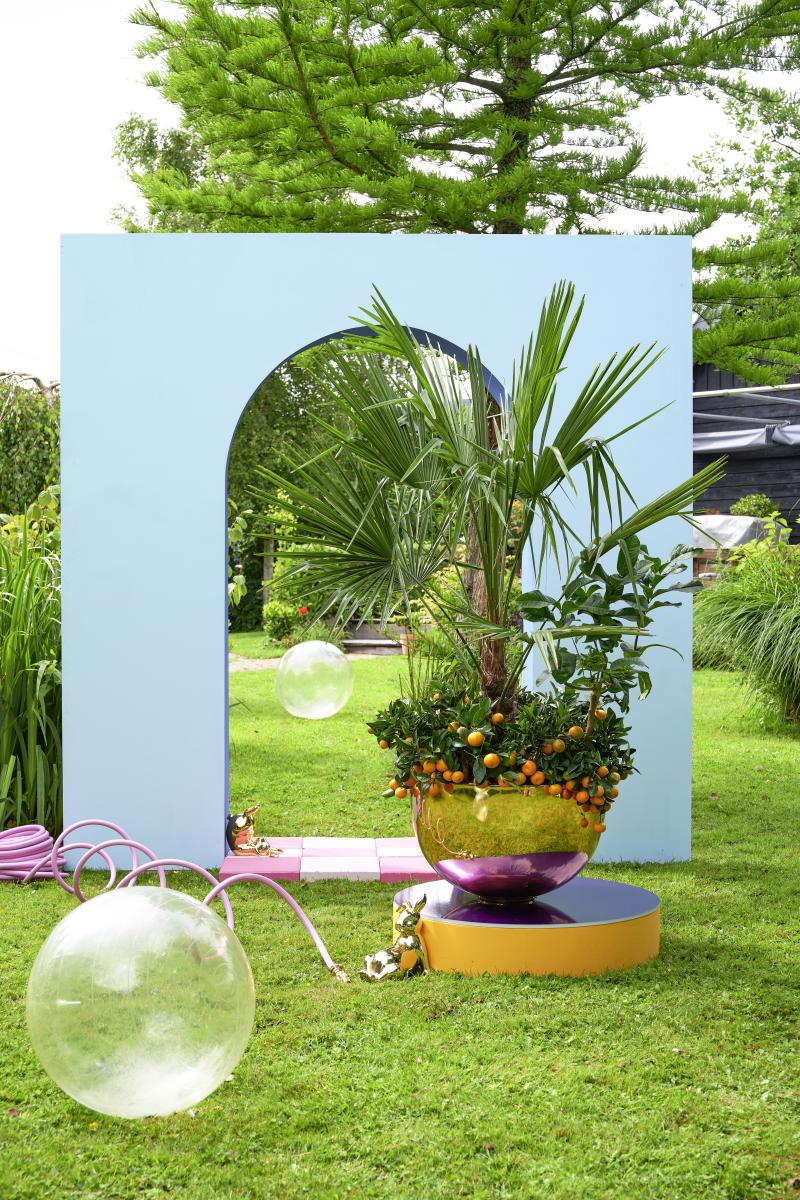 De buitenplanten uit De Trend Collectie lente/zomer 2021 Tuinpalmen De buitenplanten uit De Trend Collectie lente/zomer 2021 Tuinpalmen