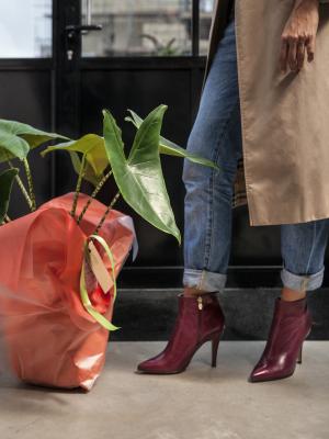 Generieke promotie voor bloemen en planten leidt tot sterke omzetverhoging Generieke promotie voor bloemen en planten leidt tot sterke omzetverhoging