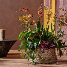 bbh_trends_2024_meaningful_earth_bbh_trends_24_sfeer-planten_.jpg