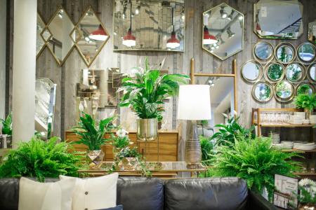 Thejoyofplants.co.uk x west elm Thejoyofplants.co.uk x west elm