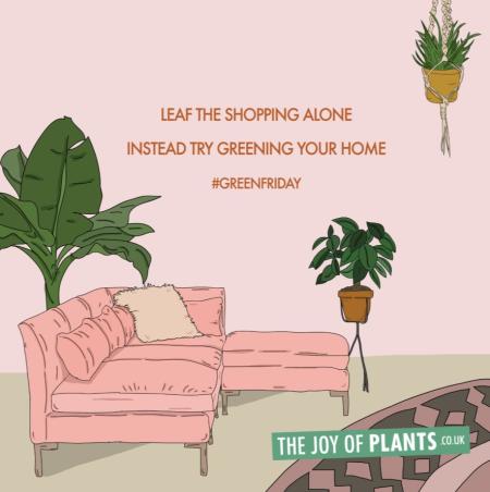 #GreenFriday -Thejoyofplants.co.uk #GreenFriday -Thejoyofplants.co.uk