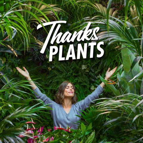 Thanks Plant campaign